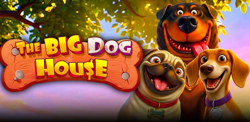The Big Dog House in NewTopRelease