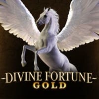 Divine Fortune Gold in NewSubNew