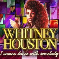 Whitney Houston I Wanna Dance with Somebody in NewSubNew