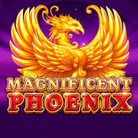 Magnificent Phoenix
