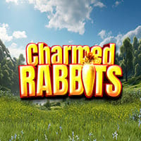 Charmed Rabbits in NewSubNew