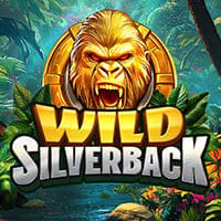 Wild Silverback in NewTopRelease