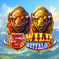 5 Wild Buffalo 3 in Slots_New